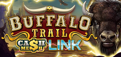 Buffalo Trail Cash Mesh LINK